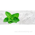 Natural Menthol Crystal For tobacco flavors